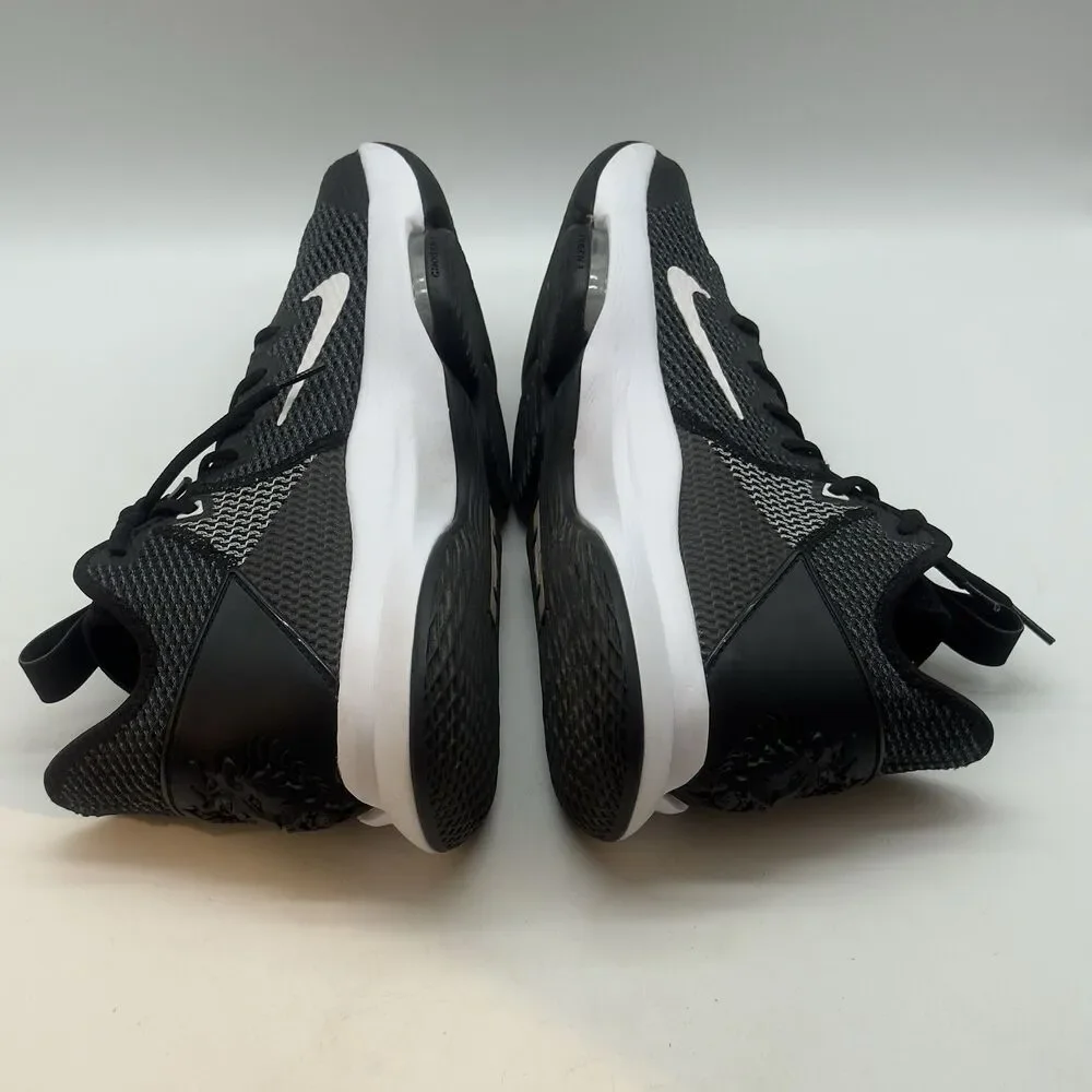 Nike lebron witness